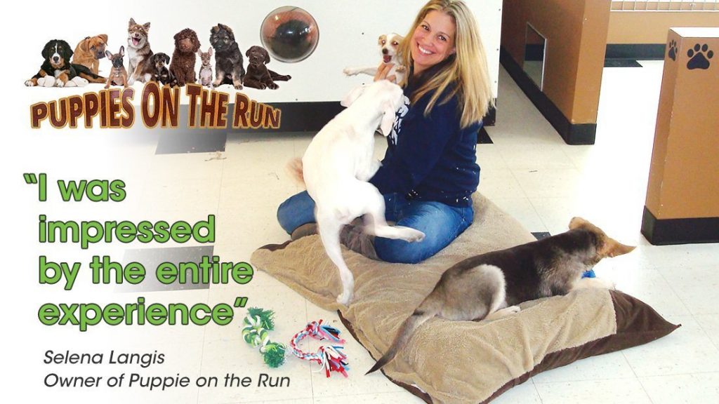 In their own words puppies on the run