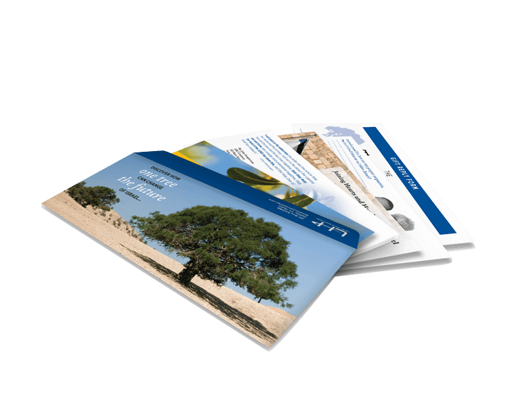 letter mailer education